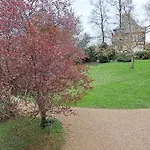 Cozy In With Wifi Appartement *